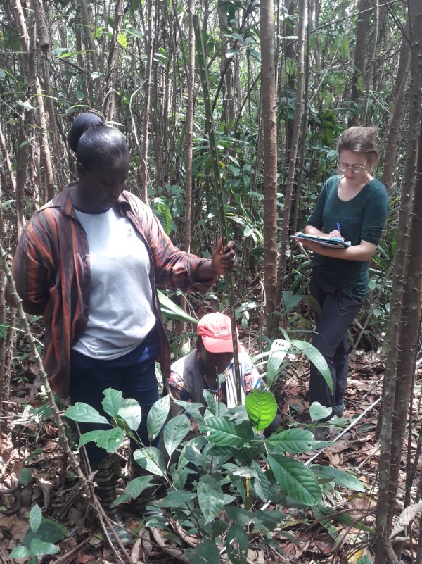 Biodiversity And Recovery Of Tropical Forests Across The Globe - WUR